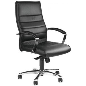 TOPSTAR Kancelářské křeslo TD LUX 10