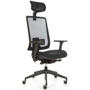EMAGRA Kancelářská židle X-PRO