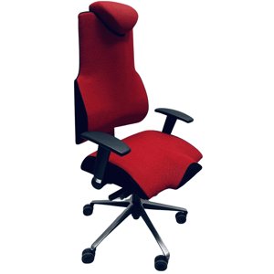PROWORK židle THERAPIA BODY L 9282, č. AOJ1799