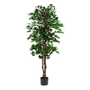 Umělá rostlina EVERGREEN, fíkus benjamin, umělý, 1600 mm, 1 ks