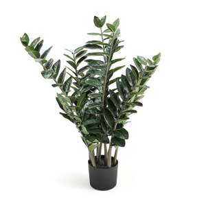 Umělá rostlina EVERGREEN, kulkas zamiolistý, výška 1000 mm, 1 ks