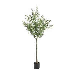 Umělá rostlina EVERGREEN, olivovník, výška 1700 mm, 1 ks