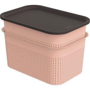 ROTHO SET 2x 4,5l BRISEN box s víkem - růžový
