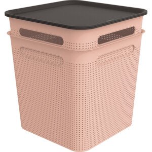 ROTHO SET 2x 18L BRISEN box s víkem - růžová