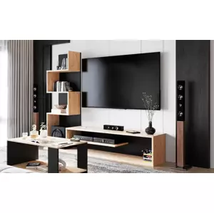 Casarredo Obývací stěna PAGET barva dub artisan/černá