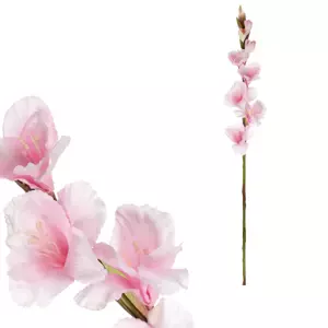 Autronic Gladiola světle růžová KT7300 PINK2
