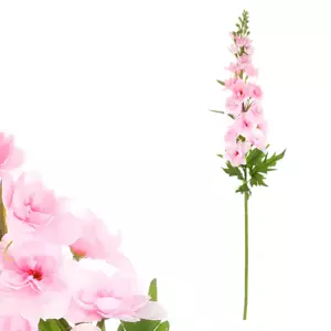 Autronic Ostrožka růžová KT7600 PINK