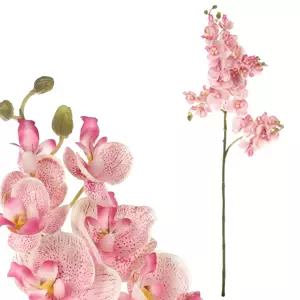 Autronic Orchidej růžová KT7907 PINK