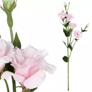 Autronic Eustoma růžová KT7909 PINK
