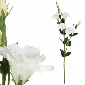 Autronic Eustoma bílá KT7909 WT