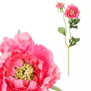 Autronic Hlaváč růžová UKK205 PINK