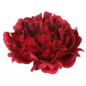 Autronic Pivoňka květ 6 ks KN6151 RED