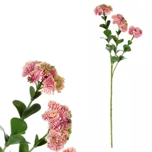 Autronic Rozchodník KUL001 PINK