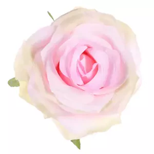 Autronic Růže vazbová 12 ks KUM3311-PINK