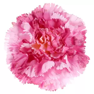 Autronic Karafiát květ 12 ks KUM3420-PINK
