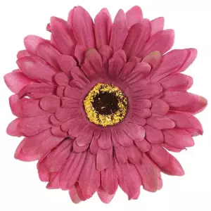 Autronic Gerbera květ 12 ks KUM3421-LILA