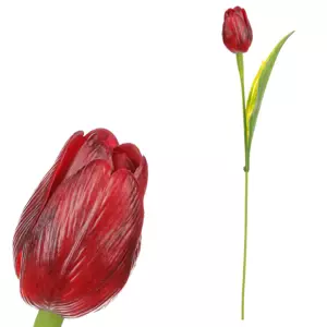 Autronic Tulipán červený SG60104 BOR