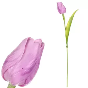 Autronic Tulipán fialový SG60104 LILA
