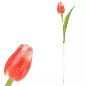 Autronic Tulipán lososový SG60104 OR2