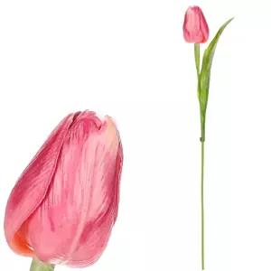Autronic Tulipán tmavě růžový SG60104 PINK