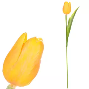 Autronic Tulipán žlutý SG60104 YEL