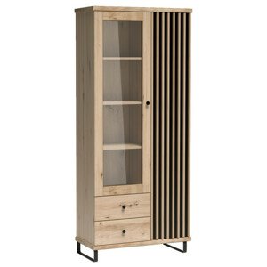 Casarredo Vitrína na nohách 2D2S BARBUS dub artisan/černá
