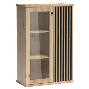 Casarredo Vitrína 2D BARBUS dub artisan/černá