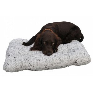 Axin Trading Podložka pod psa 50x60 cm - motiv Mirha pes