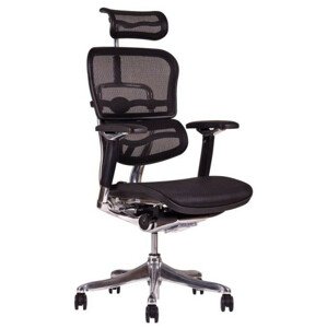 Office Pro Kancelářské křeslo Sirius Q24