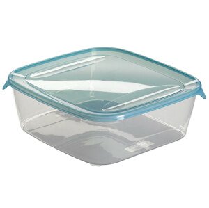 Curver Dóza FRESH & GO 2,9L