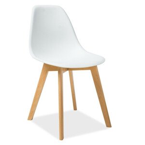 Casarredo Jídelní židle MORIS bílá/buk