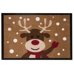 Hanse Home Rohožka Printy 103047 hnědá - sob 45x64 cm