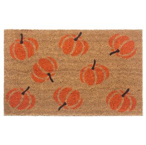 Hanse Home Hanse Home rohožka Mix Mats 105677 Cocos 45x75 cm