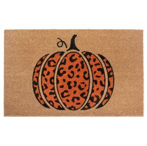 Hanse Home Hanse Home rohožka Mix Mats Cocos 105706 45x70 cm