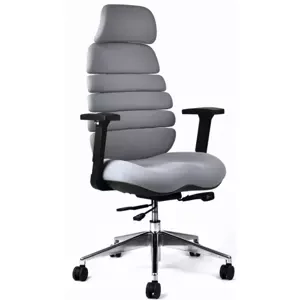 Kancelářská ergonomická židle SPINE s podhlavníkem — látka, nosnost 130 kg, více barev Šedá