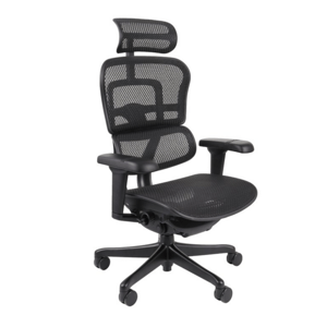 Ergonomické křeslo Ergohuman 2 Ultra BS Black