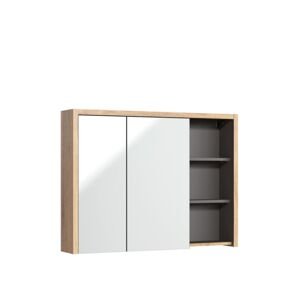 Závěsná koupelnová skříňka se zrcadlem 100 cm (DEVON 846 – 100 CM FSC)