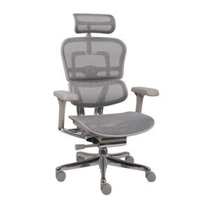 Kancelářské křeslo Ergohuman 2 Elite Pro GS Grey