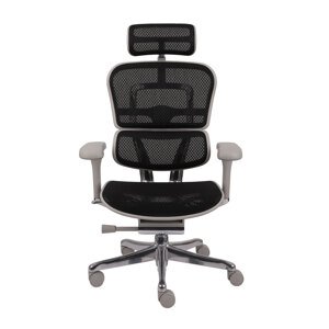 Kancelářské křeslo Ergohuman 2 Elite Pro GS Black