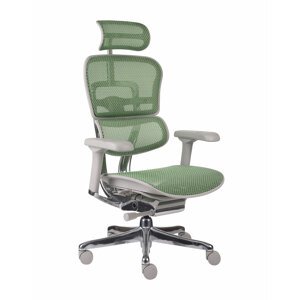 Grospol - Kancelářské křeslo Ergohuman 2 Elite GS Green