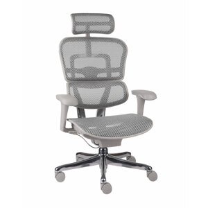 Grospol - Kancelářské křeslo Ergohuman 2 Basic GS Grey