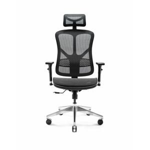 Diablo Chairs - Ergonomické křeslo Diablo V-Basic: černé
