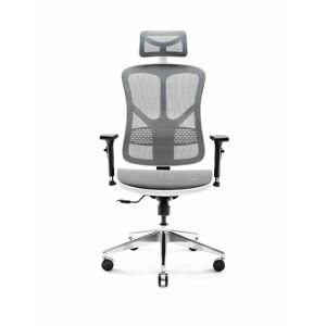 Diablo Chairs - Ergonomické křeslo Diablo V-Basic: bílo-šedé