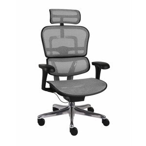 Grospol - Kancelářské křeslo Ergohuman 2 Basic BS Grey